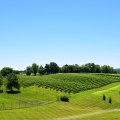 Exploring Loudoun County: The Best Ways to Get Around Easily