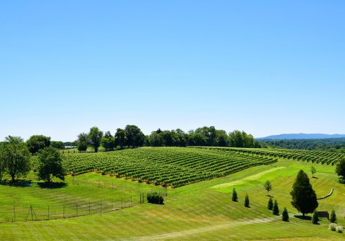 Safe and Reliable Ways to Travel in Loudoun County